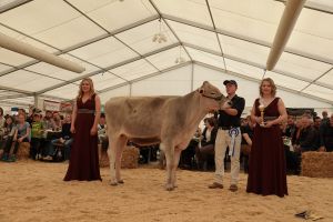 Mention Honorable Urner Champion BS BRICE-ET BALOMA